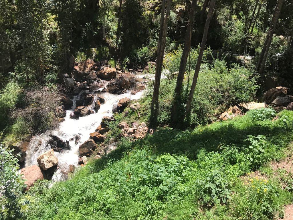 Bamboo Lodge Sacred Valley 피삭 외부 사진